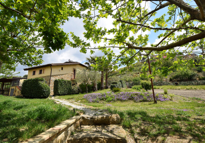 Bed And Breakfast Rustico Giucalem La Casa Negli Orti